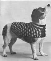 vintage dog coat knitting pattern 1960s