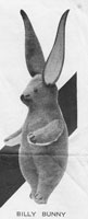 vintage weldons billy bunny 1920s