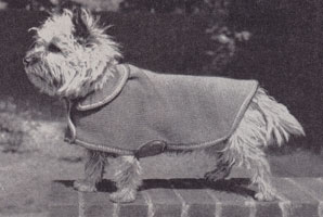 vintage dog coat knitting pattern 1960