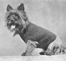 vintage carin dog coat knitting pattern 1939