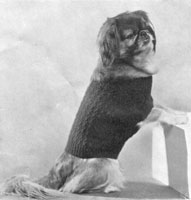 vintage dog coat knitting pattern 1939